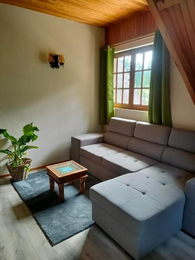 Haras Des Buissonnets Apartment Bois-Anzeray Bagian luar foto